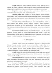 Temperamentai ir jų įtaka bendravimo procese 13 puslapis