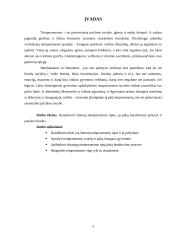 Temperamentai ir jų įtaka bendravimo procese 3 puslapis