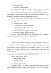 UAB „Makveža“ transportavimo darbo tobulinimas 12 puslapis