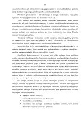 UAB „Makveža“ transportavimo darbo tobulinimas 13 puslapis