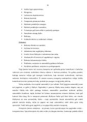 UAB „Makveža“ transportavimo darbo tobulinimas 16 puslapis