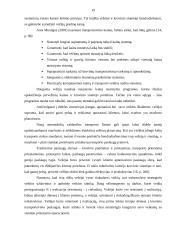 UAB „Makveža“ transportavimo darbo tobulinimas 19 puslapis