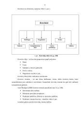 UAB „Makveža“ transportavimo darbo tobulinimas 9 puslapis