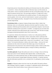 VĮ „Panevėžio regiono keliai“ veiklos valdymo modelis 15 puslapis