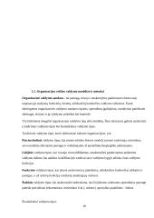 VĮ „Panevėžio regiono keliai“ veiklos valdymo modelis 18 puslapis