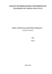 Žinių vadyba AB „Panevėžio energija“