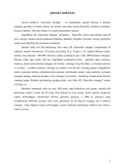 Žinių vadyba AB „Panevėžio energija“ 2 puslapis