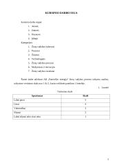 Žinių vadyba AB „Panevėžio energija“ 3 puslapis