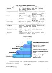 Žinių vadyba AB „Panevėžio energija“ 9 puslapis