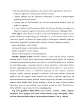 OSI modelis 2 puslapis