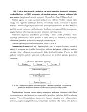 OSI modelis 3 puslapis
