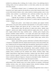 Pieno gėrimo įvedimo į maisto pramonės rinką marketingo programa 11 puslapis