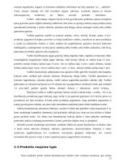 Pieno gėrimo įvedimo į maisto pramonės rinką marketingo programa 12 puslapis