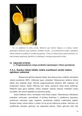 Pieno gėrimo įvedimo į maisto pramonės rinką marketingo programa 15 puslapis