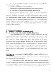 Pieno gėrimo įvedimo į maisto pramonės rinką marketingo programa 19 puslapis