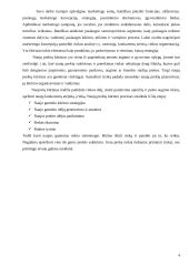 Pieno gėrimo įvedimo į maisto pramonės rinką marketingo programa 4 puslapis