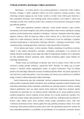 Pieno gėrimo įvedimo į maisto pramonės rinką marketingo programa 5 puslapis