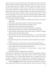 Pieno gėrimo įvedimo į maisto pramonės rinką marketingo programa 6 puslapis