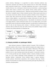Pieno gėrimo įvedimo į maisto pramonės rinką marketingo programa 7 puslapis