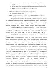 Pieno gėrimo įvedimo į maisto pramonės rinką marketingo programa 9 puslapis