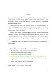 UAB “Termoizola” efektyvaus medžiagų tiekimo veiklos efektyvumo didinimas Iš užsienio užtikrinimas 2 puslapis