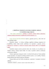 UAB “Termoizola” efektyvaus medžiagų tiekimo veiklos efektyvumo didinimas Iš užsienio užtikrinimas 12 puslapis