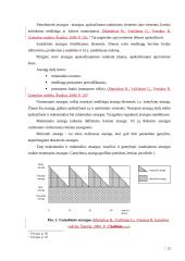 UAB “Termoizola” efektyvaus medžiagų tiekimo veiklos efektyvumo didinimas Iš užsienio užtikrinimas 13 puslapis