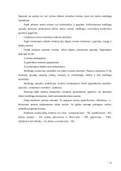 UAB “Termoizola” efektyvaus medžiagų tiekimo veiklos efektyvumo didinimas Iš užsienio užtikrinimas 16 puslapis