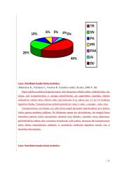 UAB “Termoizola” efektyvaus medžiagų tiekimo veiklos efektyvumo didinimas Iš užsienio užtikrinimas 17 puslapis