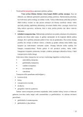 UAB “Termoizola” efektyvaus medžiagų tiekimo veiklos efektyvumo didinimas Iš užsienio užtikrinimas 18 puslapis