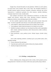 UAB “Termoizola” efektyvaus medžiagų tiekimo veiklos efektyvumo didinimas Iš užsienio užtikrinimas 19 puslapis