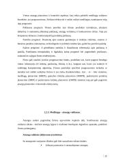 UAB “Termoizola” efektyvaus medžiagų tiekimo veiklos efektyvumo didinimas Iš užsienio užtikrinimas 20 puslapis