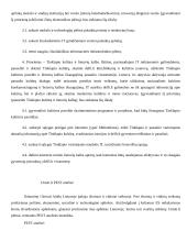 Tinklapių delfi.lt ir 15min.lt palyginimas 8 puslapis