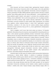 Tranzito turizmo plėtros Lie­tuvoje galimybės 20 puslapis