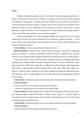 Tranzito turizmo plėtros Lie­tuvoje galimybės 3 puslapis