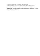 Tranzito turizmo plėtros Lie­tuvoje galimybės 4 puslapis