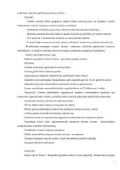 Tranzito turizmo plėtros Lie­tuvoje galimybės 7 puslapis