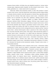 Tranzito turizmo plėtros Lie­tuvoje galimybės 9 puslapis