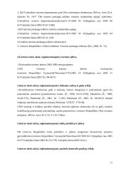 Turizmo teisės reglamentavimas  11 puslapis