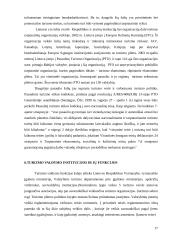 Turizmo teisės reglamentavimas  17 puslapis