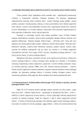 Turizmo teisės reglamentavimas  3 puslapis