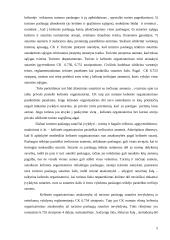 Turizmo teisės reglamentavimas  5 puslapis