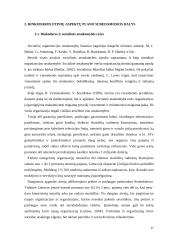 UAB Bitė Lietuva rinkodaros etikos ypatumai 17 puslapis