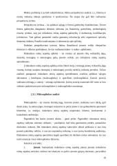 UAB Bitė Lietuva rinkodaros etikos ypatumai 19 puslapis