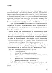 UAB Bitė Lietuva rinkodaros etikos ypatumai 4 puslapis