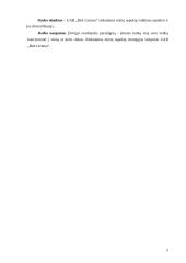 UAB Bitė Lietuva rinkodaros etikos ypatumai 5 puslapis