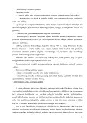 Užimtumo politikos įgyvendinimo analizė 19 puslapis