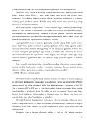 Užimtumo politikos įgyvendinimo analizė 20 puslapis