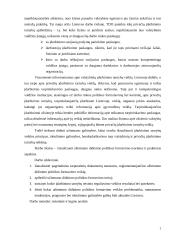 Užimtumo politikos įgyvendinimo analizė 3 puslapis