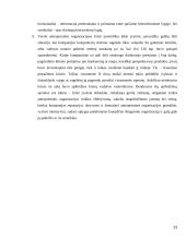 Antrepreninės organizacijos kultūros įtaka 13 puslapis